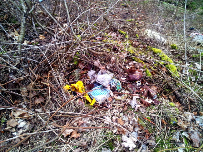 Kein Fleck ohne Müll, zum Teil 15 m weit in den Wald hereingetragen